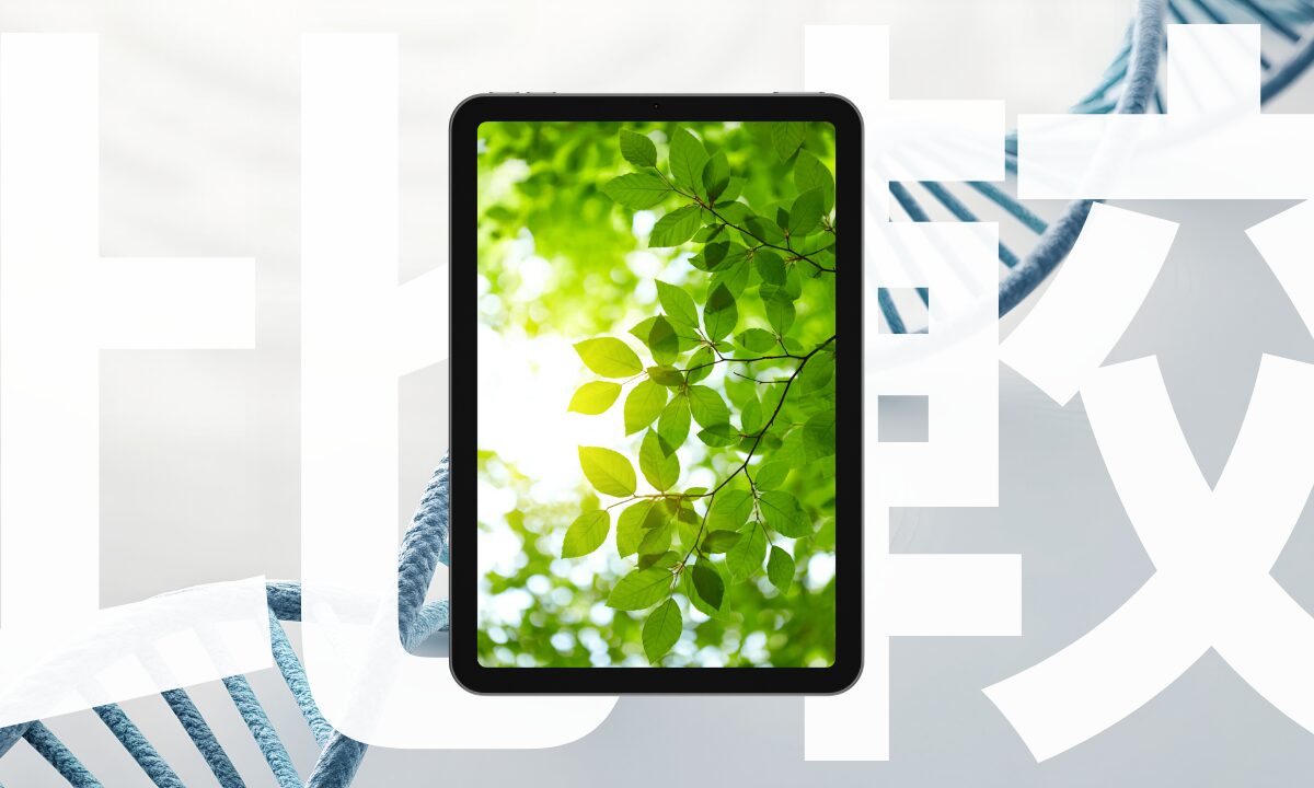 【2025年最新】iPadシリーズの寿命を徹底ガイド｜何年使える？買い替えの目安を徹底解説